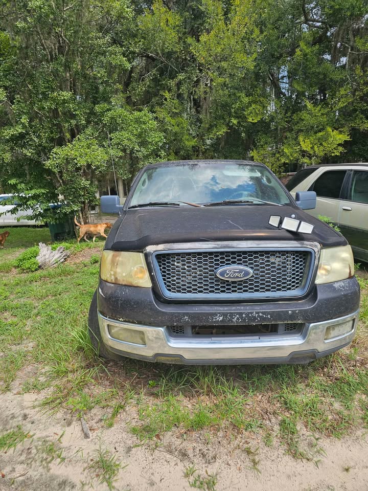2004 F150 photo 8