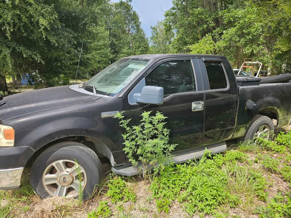 2004 F150 photo 7
